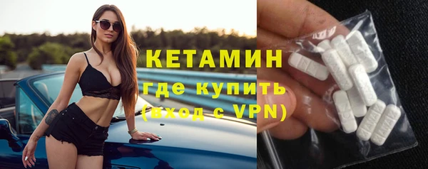 индика Ельня